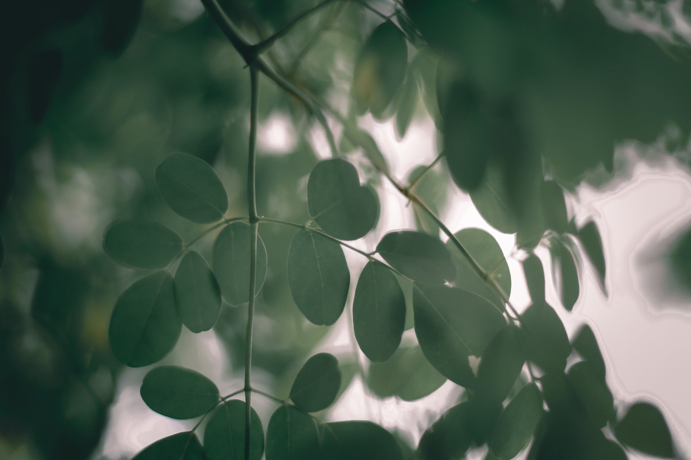 C:\Users\X441U\Desktop\pexels-photo-4173471.jpeg