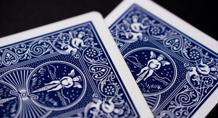 From Beginner to Pro: Leveling Up Your Skills on Solitaire.net